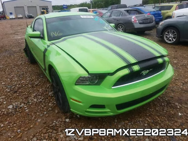 1ZVBP8AMXE5202324