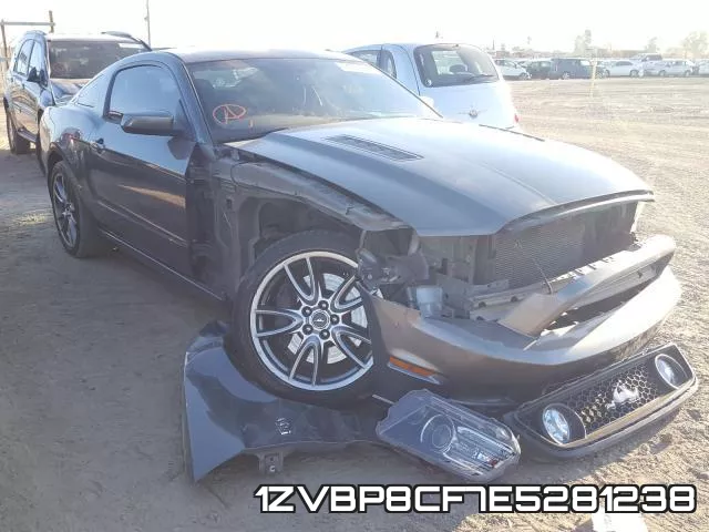 1ZVBP8CF7E5281238