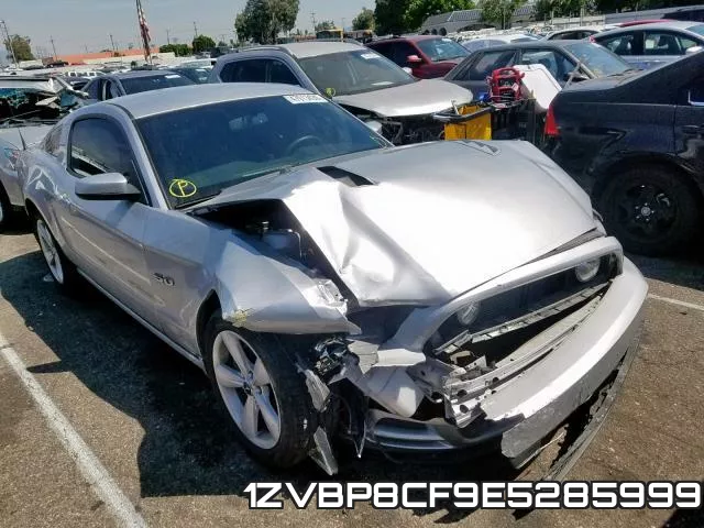 1ZVBP8CF9E5285999