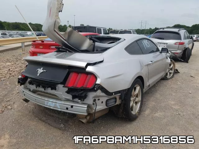 1FA6P8AM1H5316856_4.webp