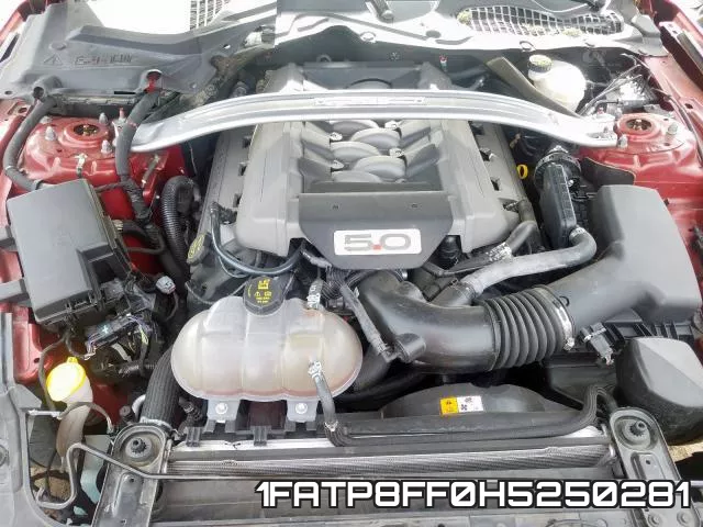 1FATP8FF0H5250281_7.webp