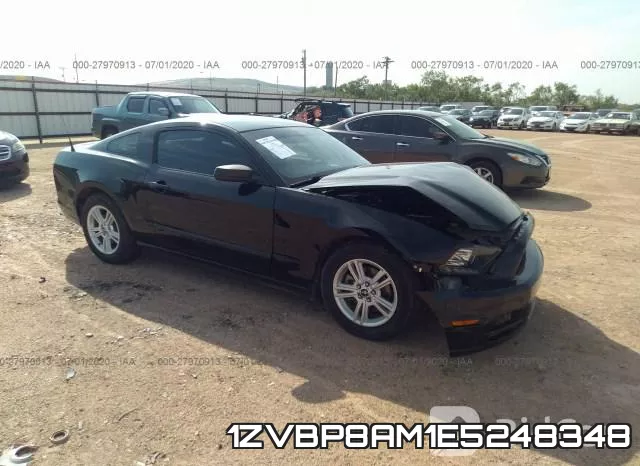 1ZVBP8AM1E5248348