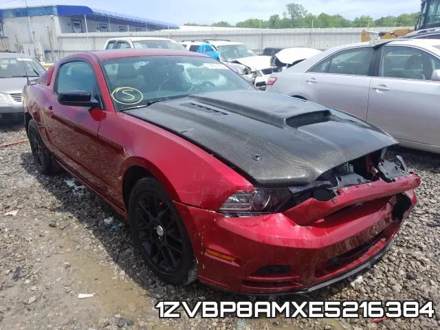 1ZVBP8AMXE5216384