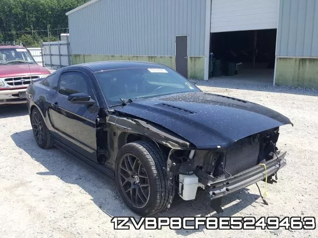 1ZVBP8CF8E5249463