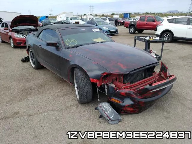 1ZVBP8EM3E5224837