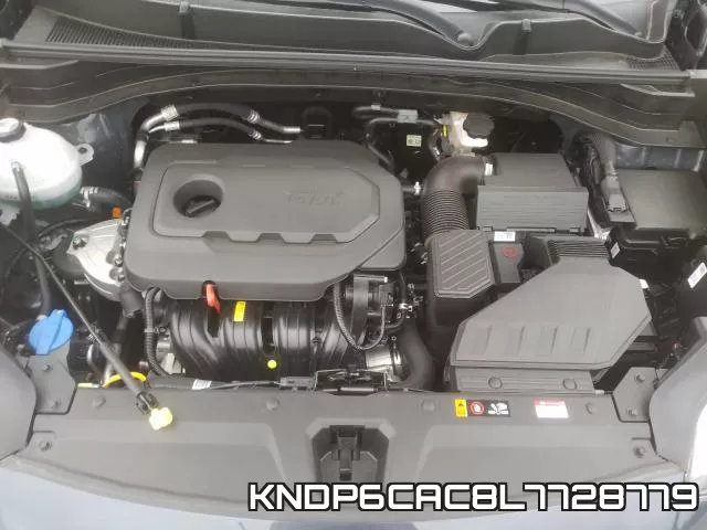 KNDP6CAC8L7728779_7.webp