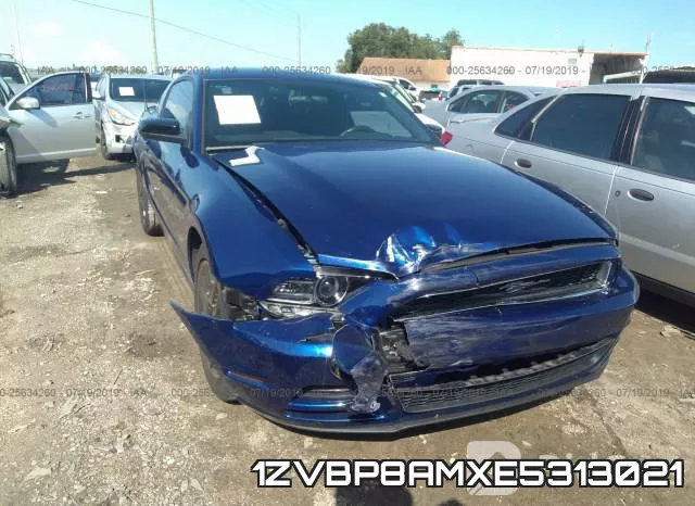 1ZVBP8AMXE5313021