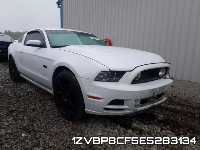 1ZVBP8CF5E5283134