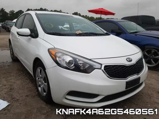 KNAFK4A62G5460561