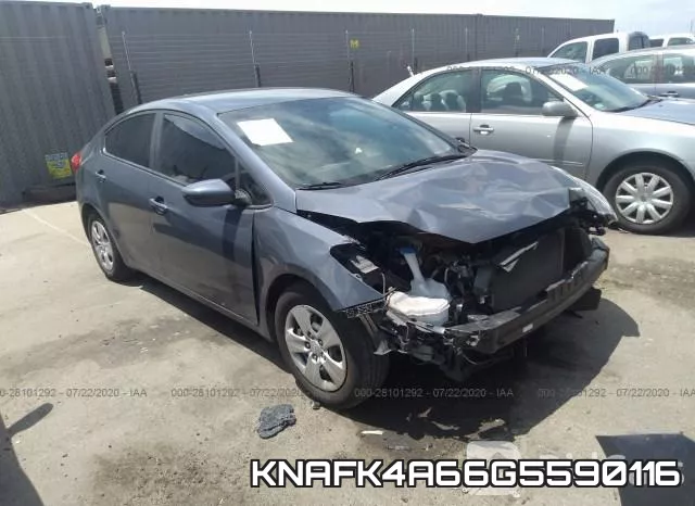 KNAFK4A66G5590116