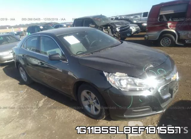 1G11B5SL8EF181557
