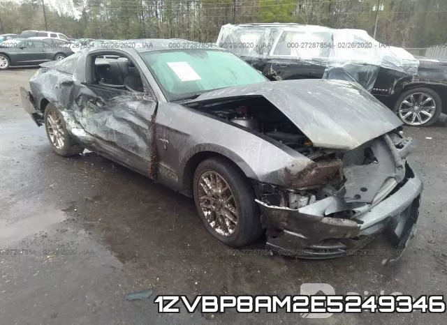 1ZVBP8AM2E5249346