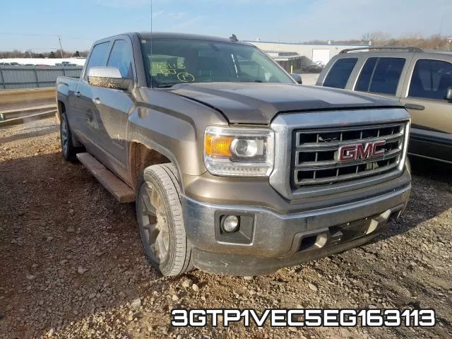 3GTP1VEC5EG163113