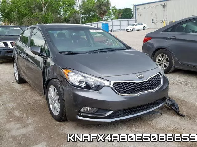 KNAFX4A80E5086659