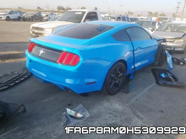 1FA6P8AM0H5309929_4.webp