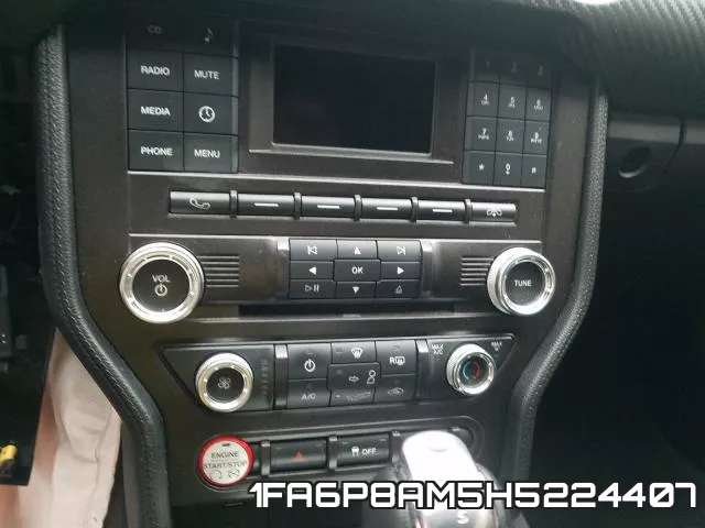 1FA6P8AM5H5224407_9.webp