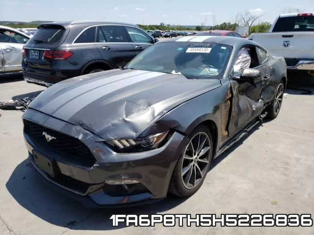 1FA6P8TH5H5226836_2.webp