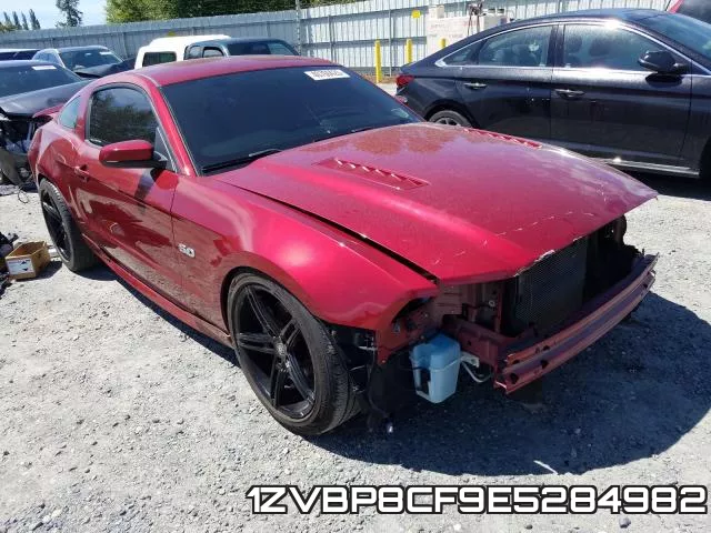 1ZVBP8CF9E5284982
