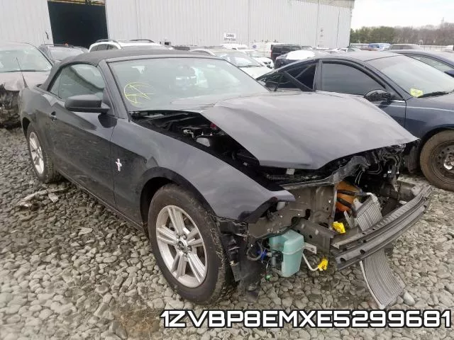 1ZVBP8EMXE5299681