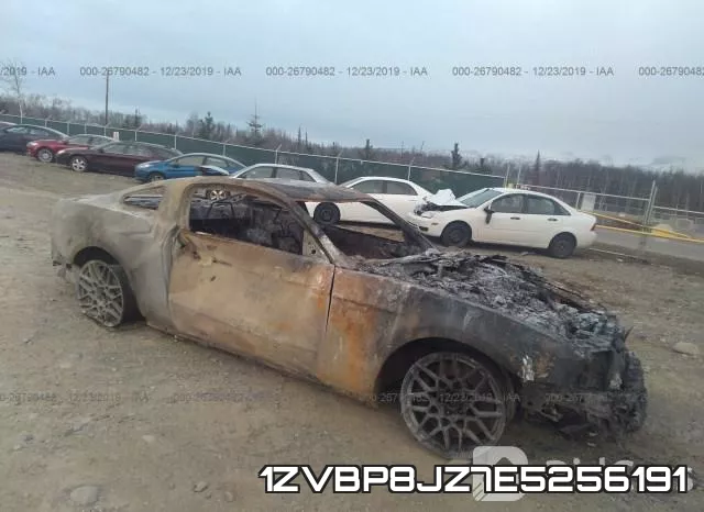 1ZVBP8JZ7E5256191