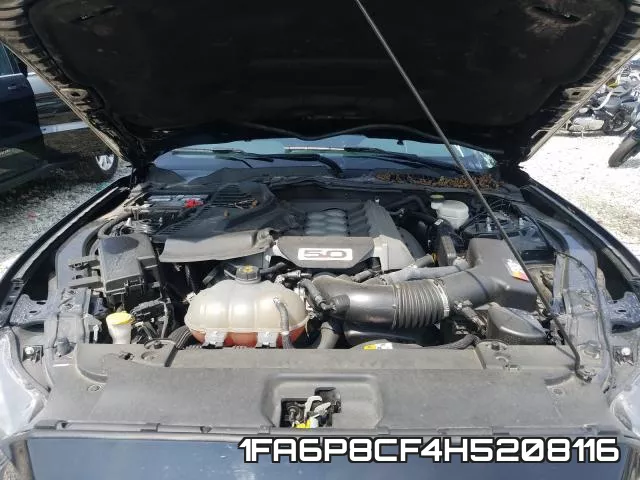 1FA6P8CF4H5208116_7.webp