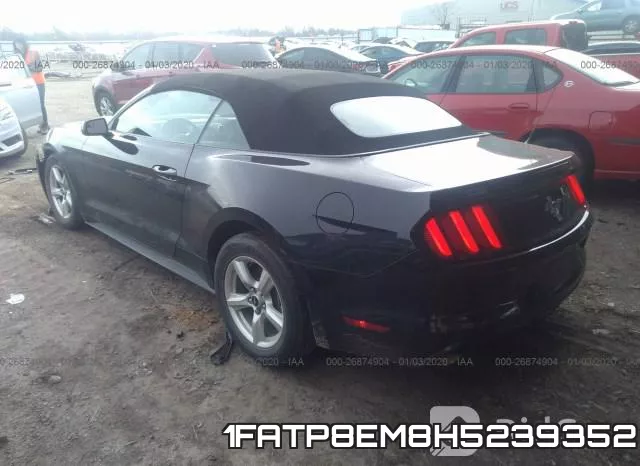 1FATP8EM8H5239352_3.webp