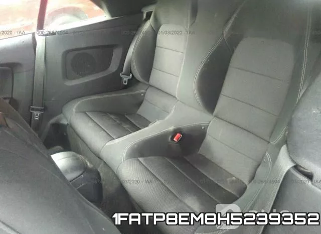 1FATP8EM8H5239352_8.webp