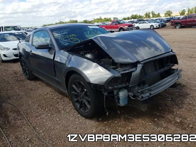 1ZVBP8AM3E5306282