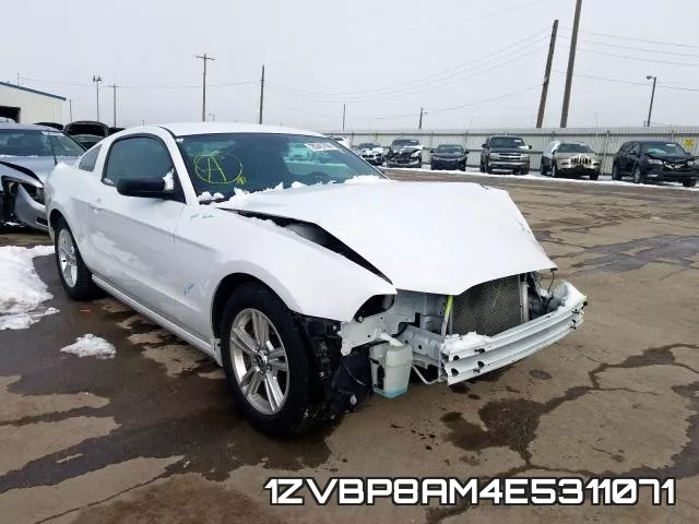 1ZVBP8AM4E5311071