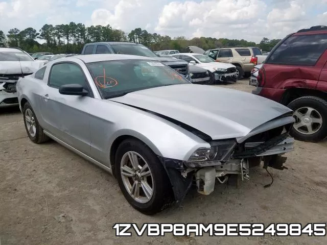 1ZVBP8AM9E5249845