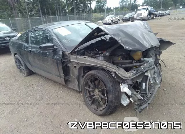 1ZVBP8CF0E5317075