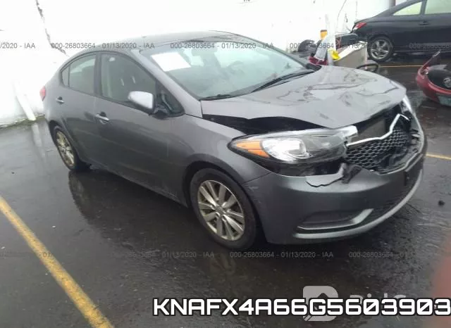 KNAFX4A66G5603903