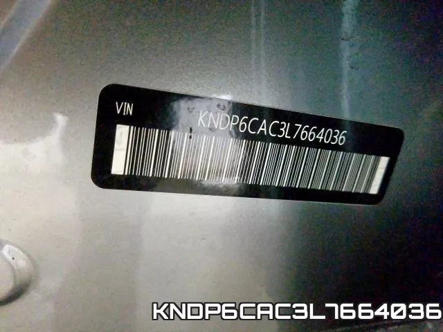 KNDP6CAC3L7664036_10.webp