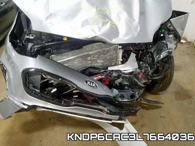 KNDP6CAC3L7664036_9.webp
