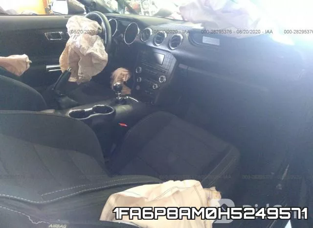 1FA6P8AM0H5249571_5.webp