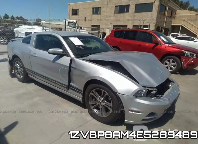 1ZVBP8AM4E5289489