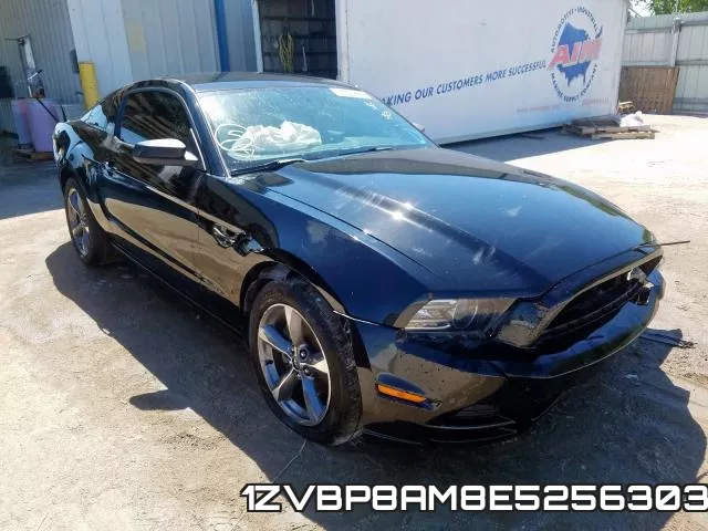 1ZVBP8AM8E5256303