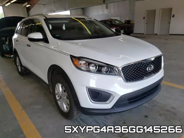 5XYPG4A36GG145266