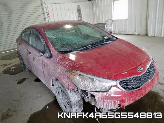 KNAFK4A65G5548813