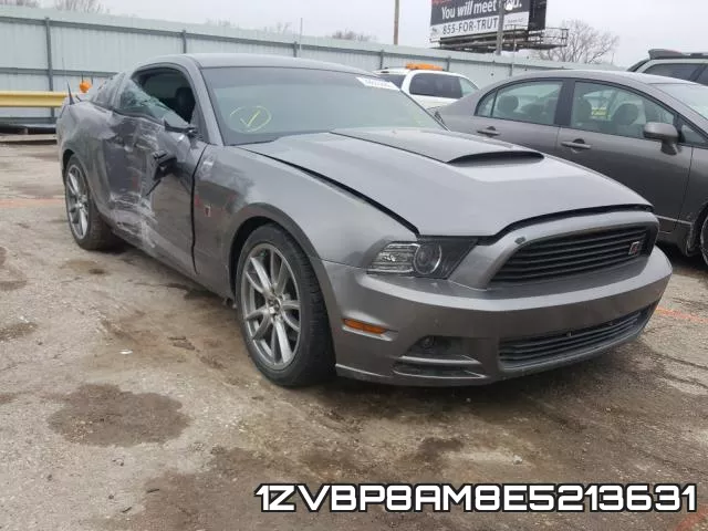 1ZVBP8AM8E5213631