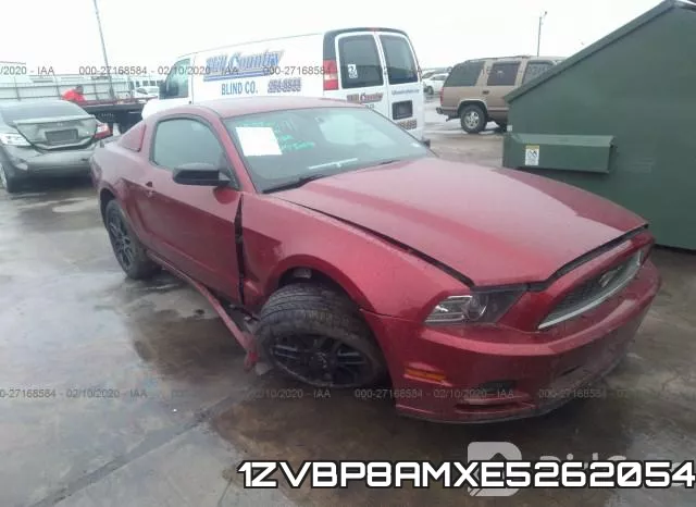 1ZVBP8AMXE5262054