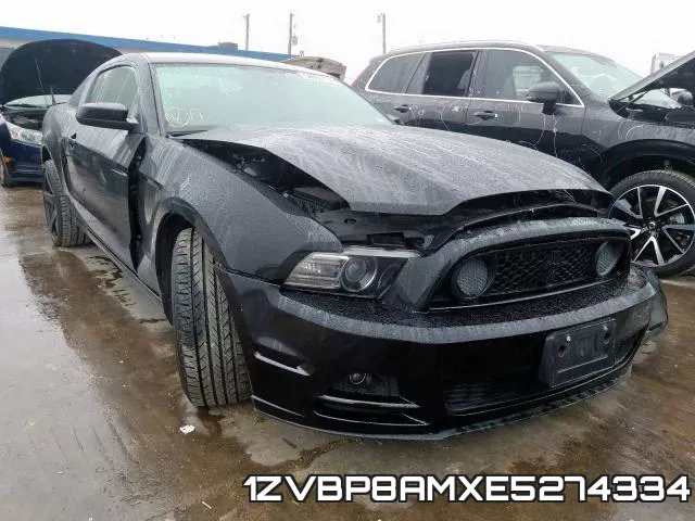 1ZVBP8AMXE5274334