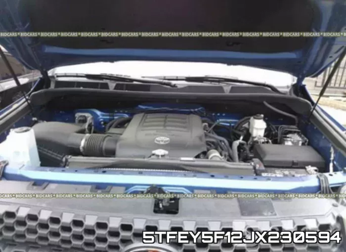 5TFEY5F12JX230594_10.webp