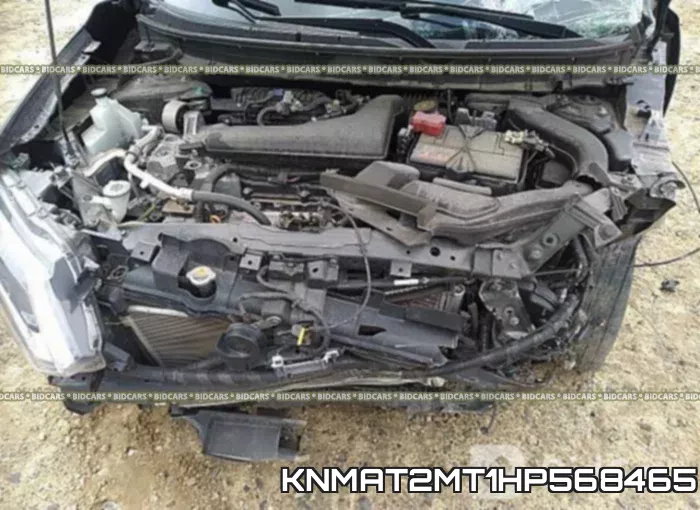 KNMAT2MT1HP568465_10.webp