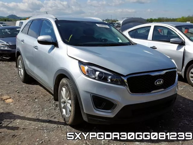 5XYPGDA30GG081239