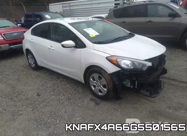 KNAFX4A66G5501565