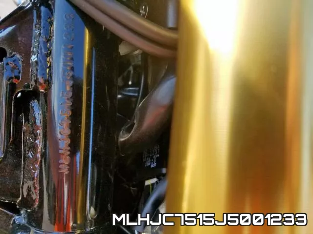 MLHJC7515J5001233_10.webp