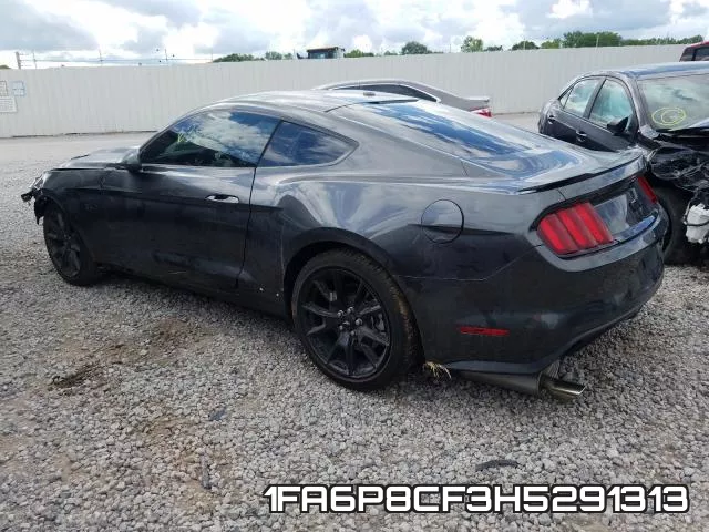 1FA6P8CF3H5291313_3.webp