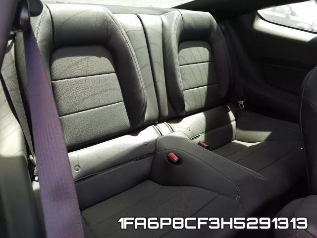 1FA6P8CF3H5291313_6.webp