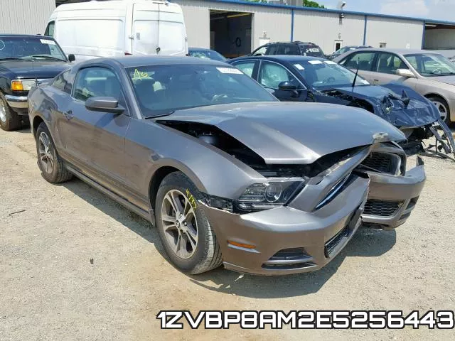 1ZVBP8AM2E5256443